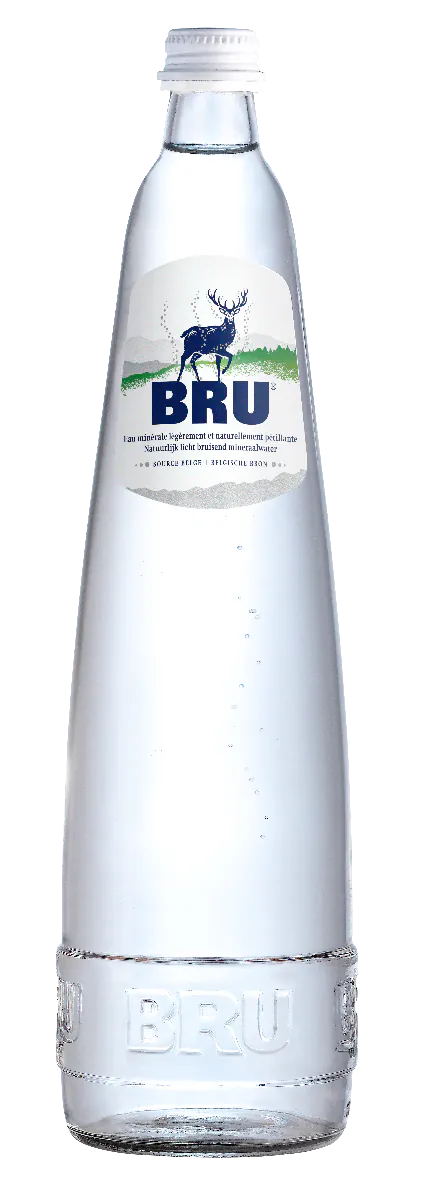 Bruis